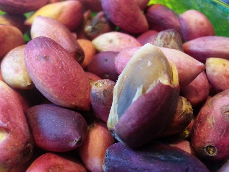 färska pistagenötter
